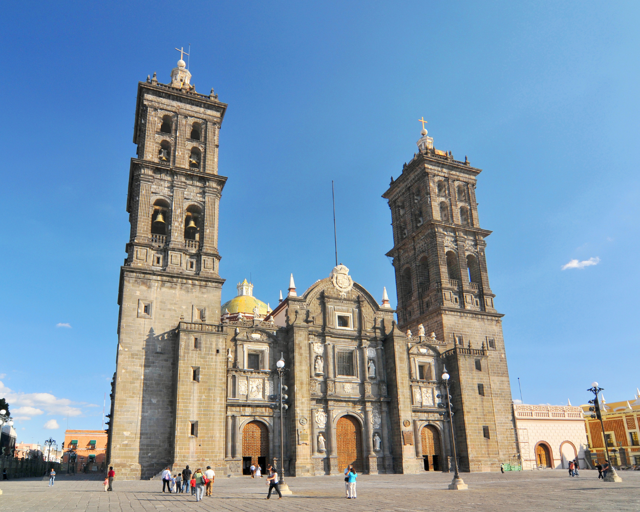 Puebla centro banyan tree